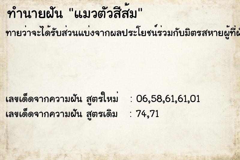 ทำนายฝัน แมวตัวสีส้ม  เลขนำโชค 