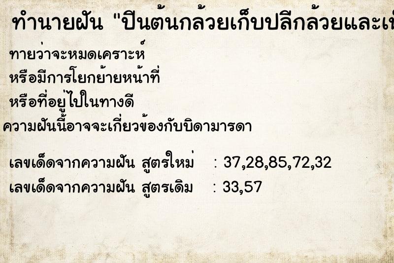 ทำนายฝัน ปีนต้นกล้วยเก็บปลีกล้วยและเห็นกล้วยสุกบนต้น