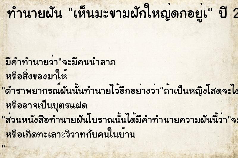 ทำนายฝัน เห็นมะขามฝักใหญ่ดกอยู่à