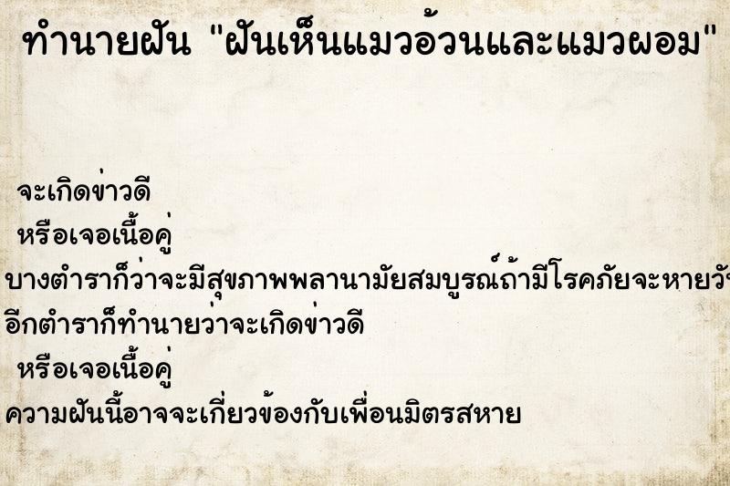 ทำนายฝัน ฝันเห็นแมวอ้วนและแมวผอม