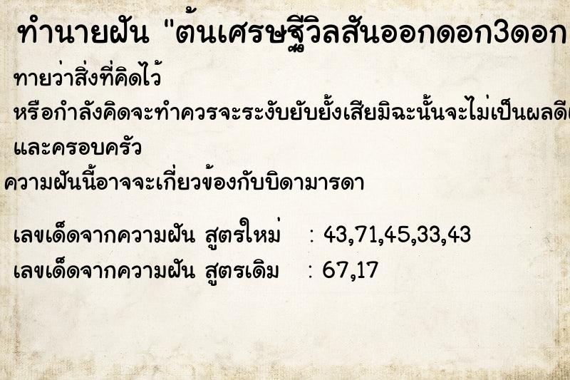 ทำนายฝัน ต้นเศรษฐีวิลสันออกดอก3ดอก