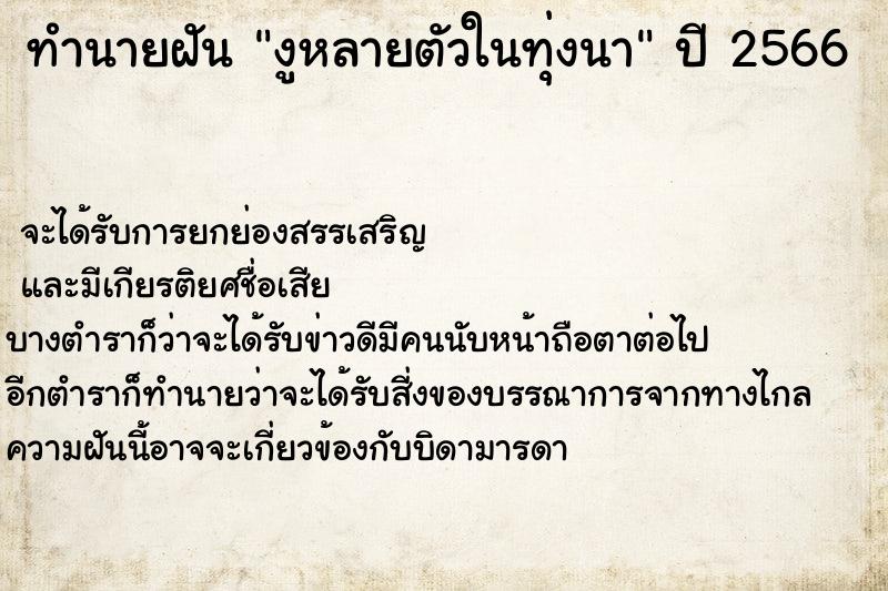 ทำนายฝัน งูหลายตัวในทุ่งนา