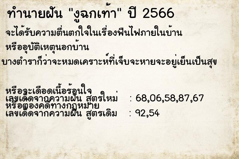 ทำนายฝัน งูฉกเท้า  เลขนำโชค 