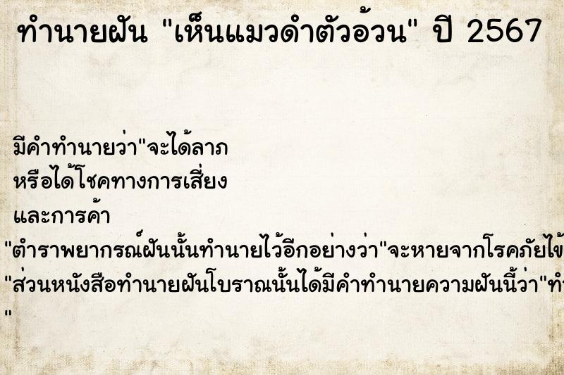 ทำนายฝัน เห็นแมวดำตัวอ้วน  เลขนำโชค 