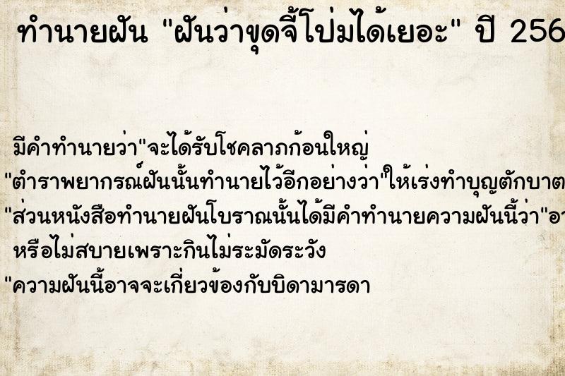 ทำนายฝัน ฝันว่าขุดจี้โป่มได้เยอะ  เลขนำโชค 