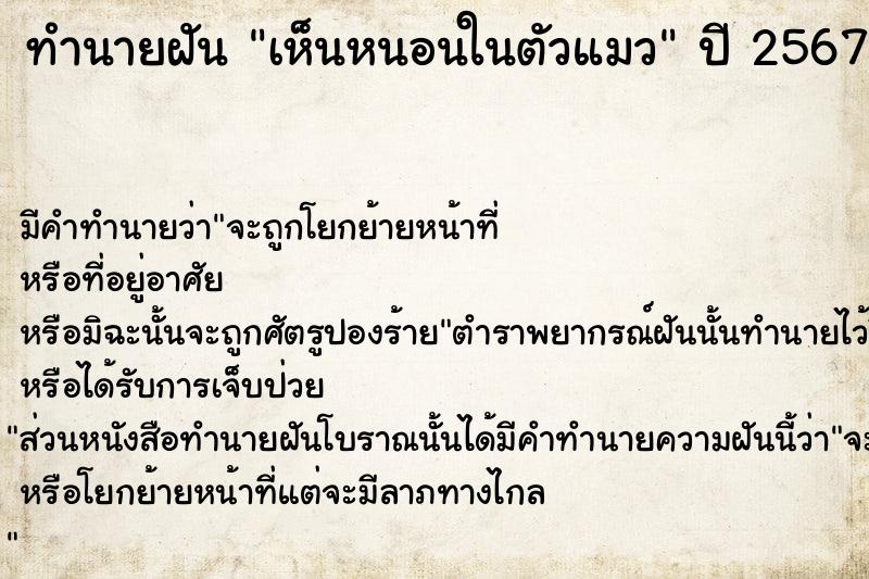 ทำนายฝัน เห็นหนอนในตัวแมว