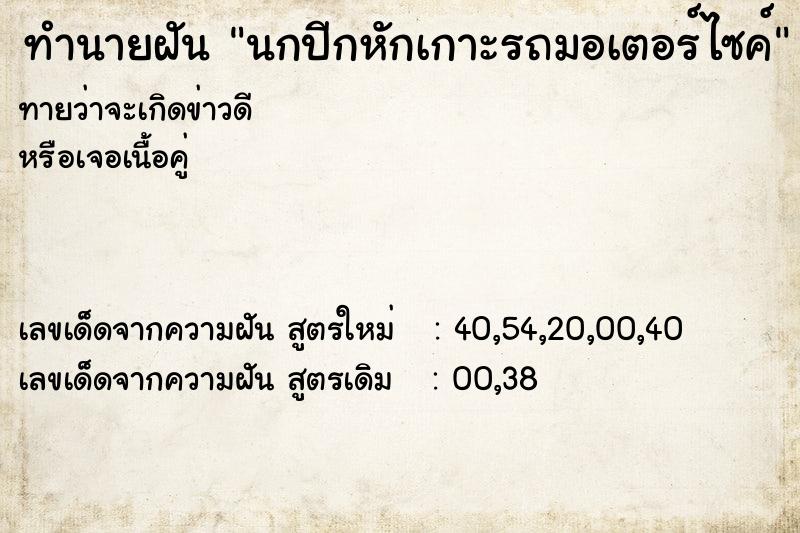 ทำนายฝัน นกปีกหักเกาะรถมอเตอร์ไซค์