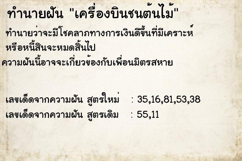 ทำนายฝัน เครื่องบินชนต้นไม้  เลขนำโชค 