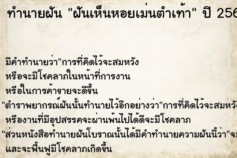 ทำนายฝัน ฝันเห็นหอยเม่นตำเท้า