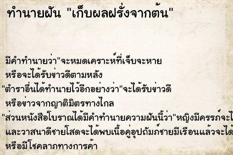 ทำนายฝัน เก็บผลฝรั่งจากต้น