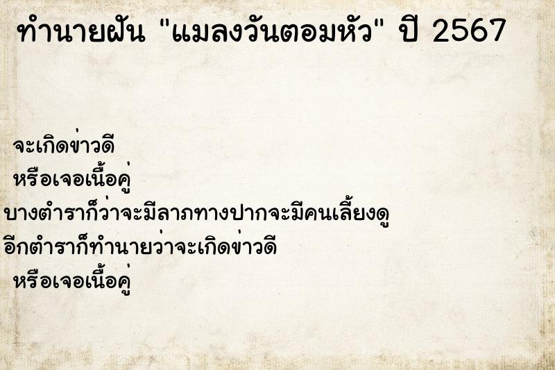 ทำนายฝัน แมลงวันตอมหัว  เลขนำโชค 