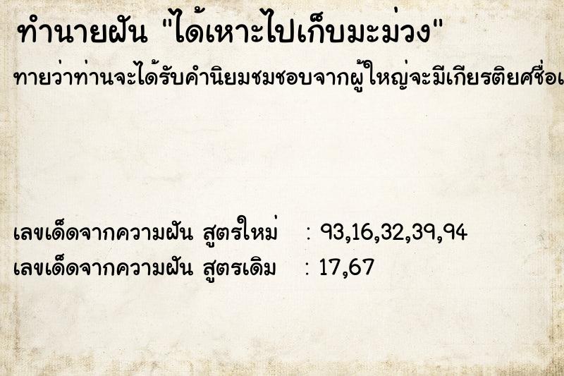 ทำนายฝัน ได้เหาะไปเก็บมะม่วง