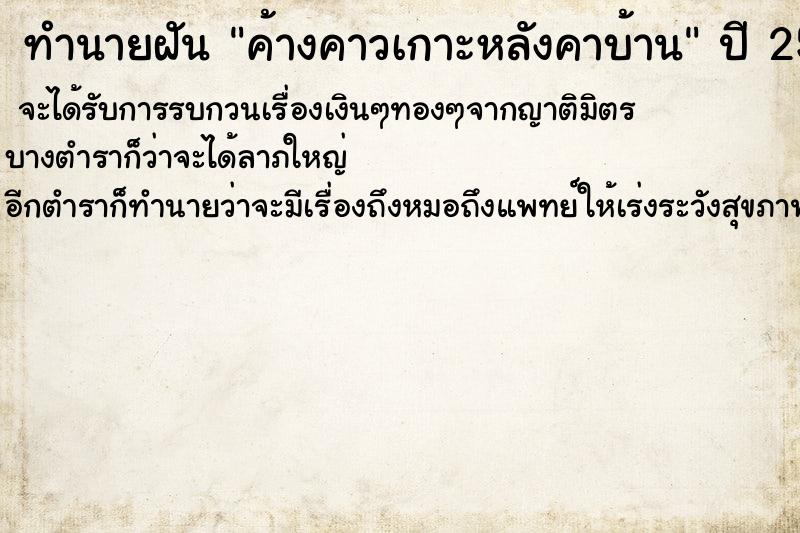 ทำนายฝัน ค้างคาวเกาะหลังคาบ้าน  เลขนำโชค 