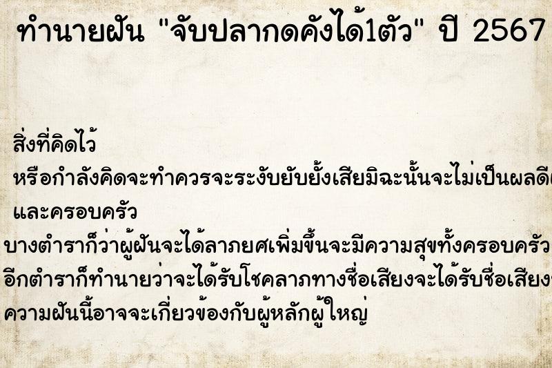 ทำนายฝัน จับปลากดคังได้1ตัว