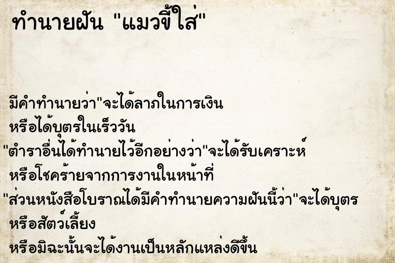 ทำนายฝัน แมวขี้ใส่