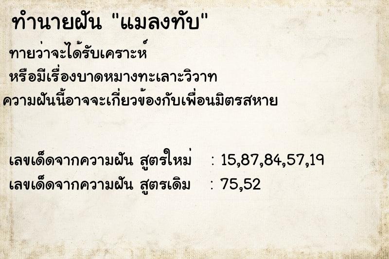 ทำนายฝัน แมลงทับ  เลขนำโชค 