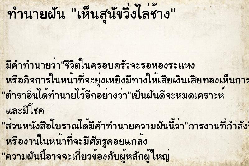 ทำนายฝัน เห็นสุนัขวิ่งไล่ช้าง