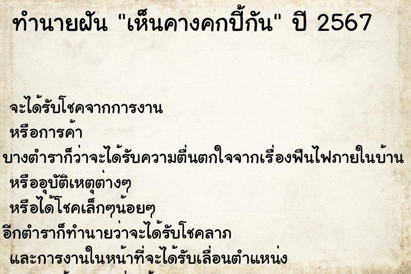 ทำนายฝัน เห็นคางคกปี้กัน