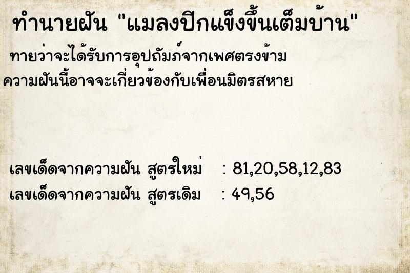 ทำนายฝัน แมลงปีกแข็งขึ้นเต็มบ้าน