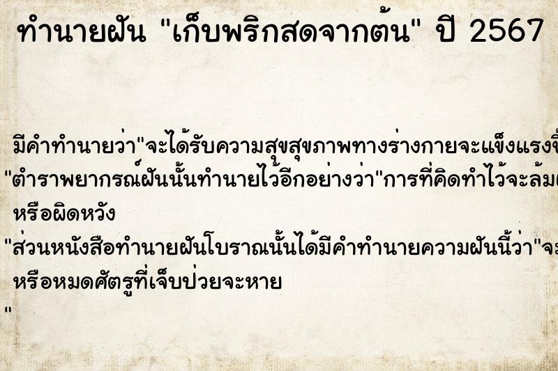 ทำนายฝัน เก็บพริกสดจากต้น  เลขนำโชค 