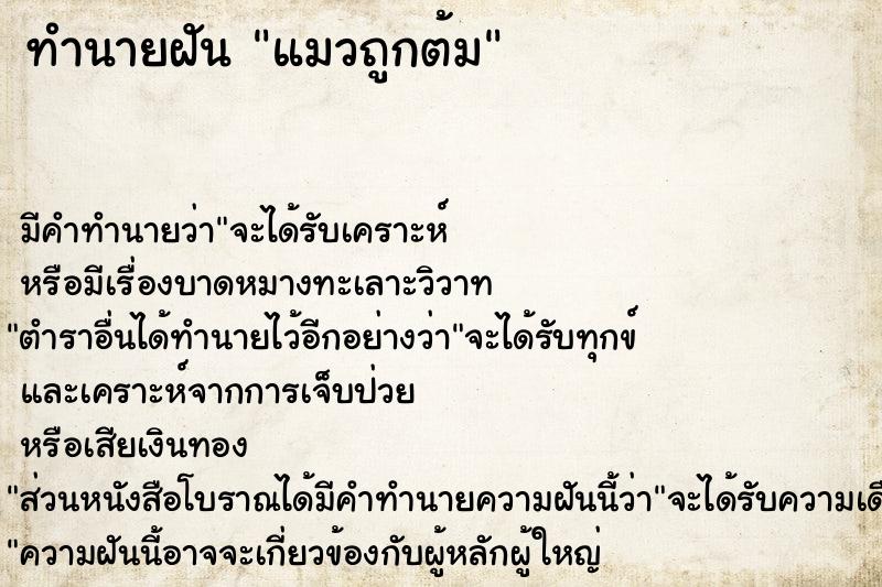 ทำนายฝัน แมวถูกต้ม