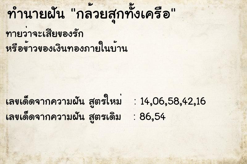 ทำนายฝัน กล้วยสุกทั้งเครือ  เลขนำโชค 