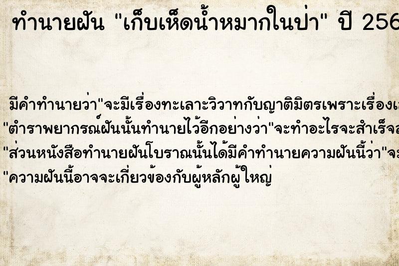 ทำนายฝัน เก็บเห็ดน้ำหมากในป่า