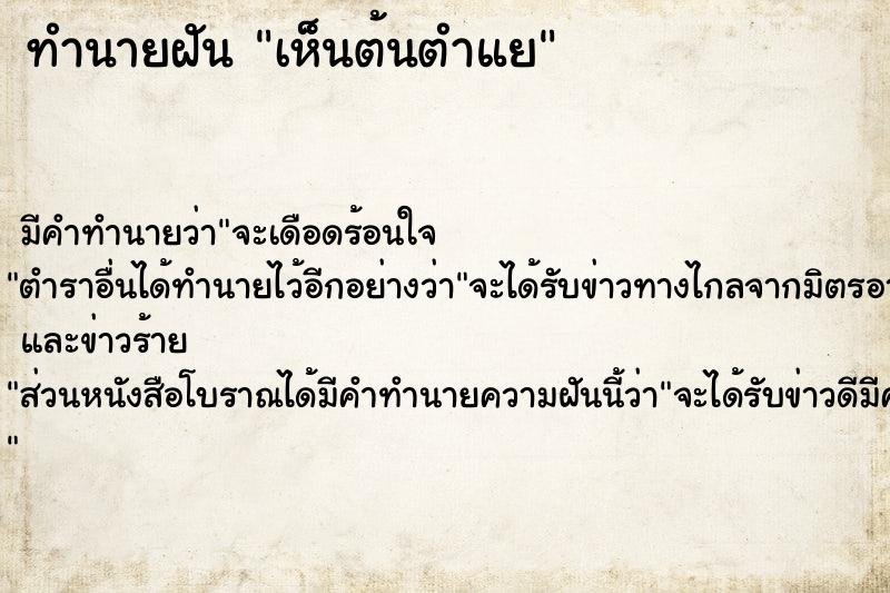 ทำนายฝัน เห็นต้นตำแย