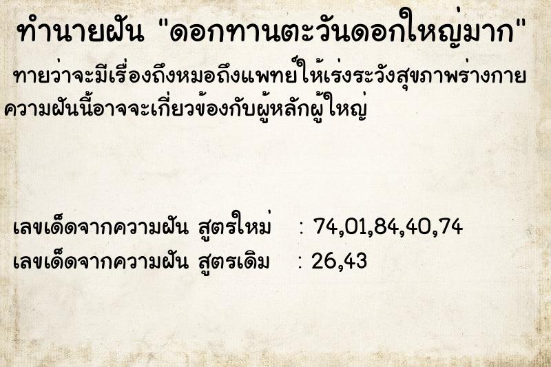 ทำนายฝัน ดอกทานตะวันดอกใหญ่มาก