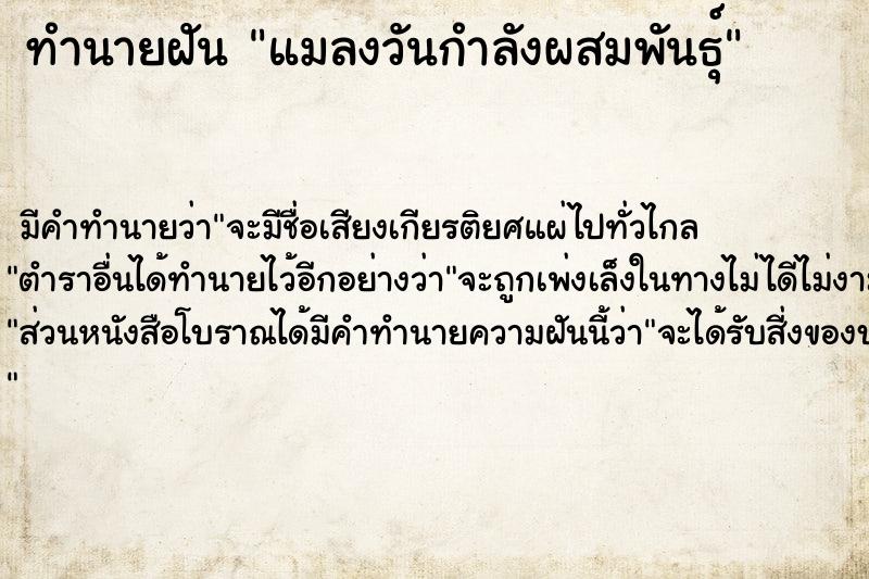 ทำนายฝัน แมลงวันกำลังผสมพันธุ์