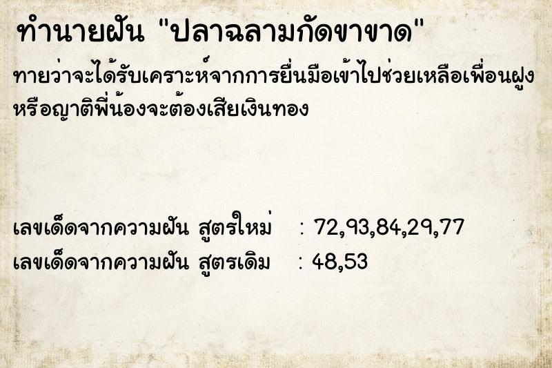 ทำนายฝัน ปลาฉลามกัดขาขาด