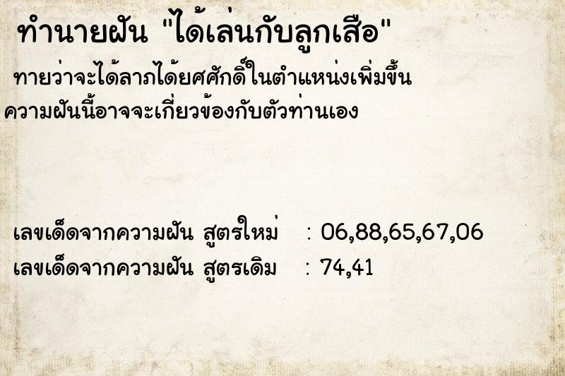 ทำนายฝัน ได้เล่นกับลูกเสือ