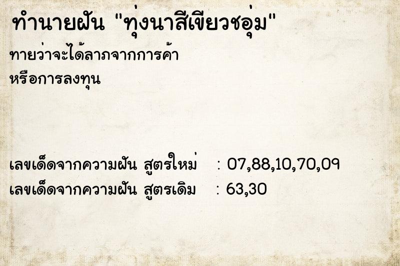 ทำนายฝัน ทุ่งนาสีเขียวชอุ่ม