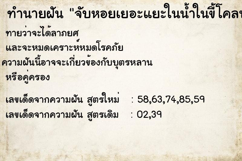 ทำนายฝัน จับหอยเยอะแยะในน้ำในขี้โคลน