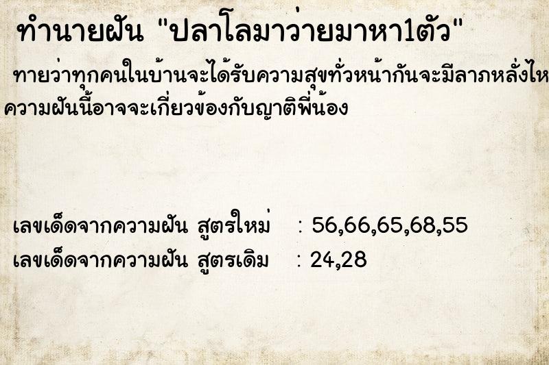 ทำนายฝัน ปลาโลมาว่ายมาหา1ตัว