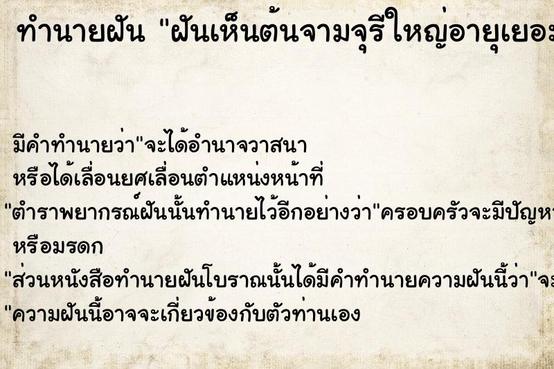 ทำนายฝัน ฝันเห็นต้นจามจุรีใหญ่อายุเยอะ