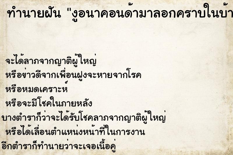 ทำนายฝัน งูอนาคอนด้ามาลอกคราบในบ้าน