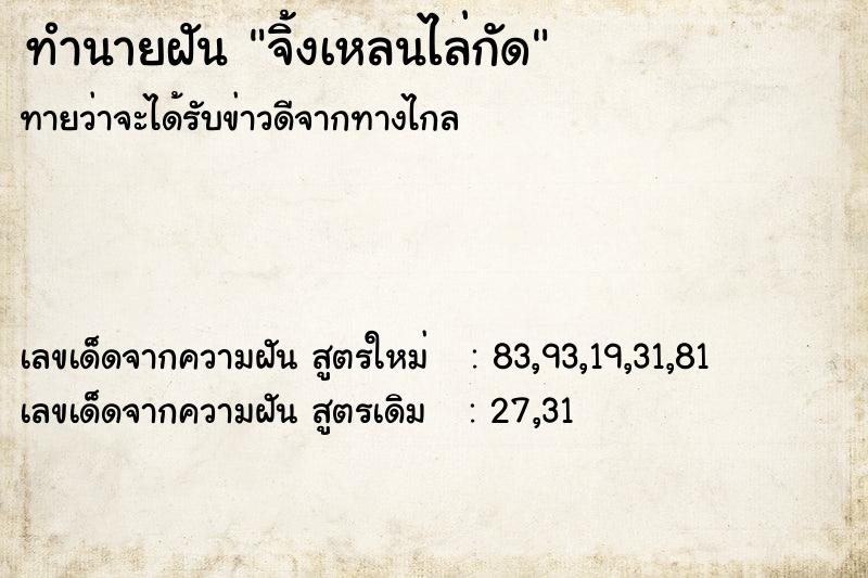 ทำนายฝัน จิ้งเหลนไล่กัด  เลขนำโชค 