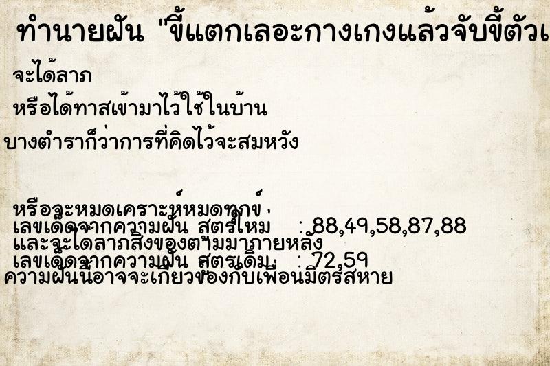 ทำนายฝัน ขี้แตกเลอะกางเกงแล้วจับขี้ตัวเอง