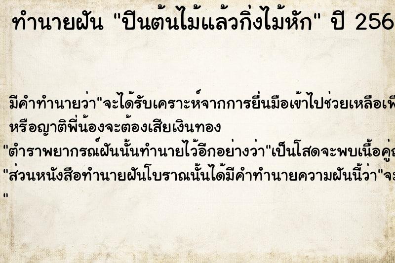 ทำนายฝัน ปีนต้นไม้แล้วกิ่งไม้หัก