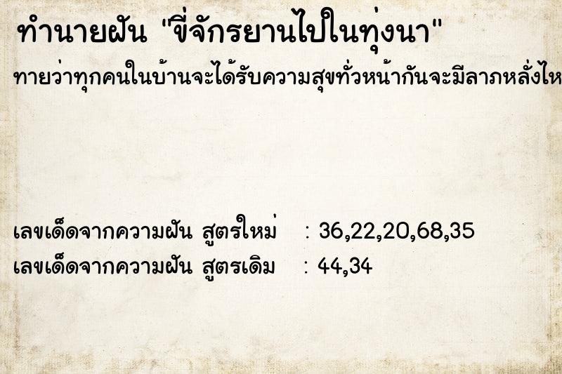 ทำนายฝัน ขี่จักรยานไปในทุ่งนา  เลขนำโชค 