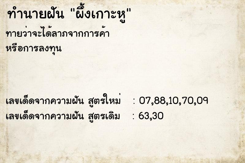 ทำนายฝัน ผึ้งเกาะหู