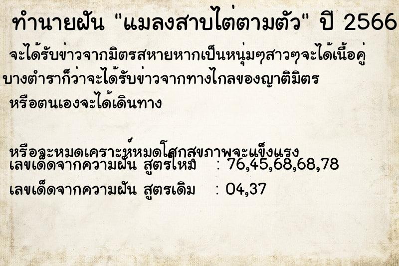 ทำนายฝัน แมลงสาบไต่ตามตัว  เลขนำโชค 