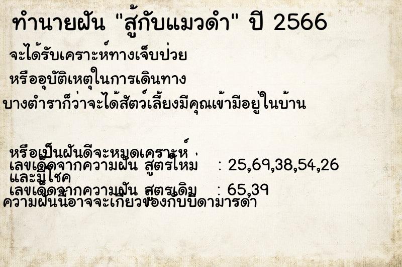 ทำนายฝัน สู้กับแมวดำ