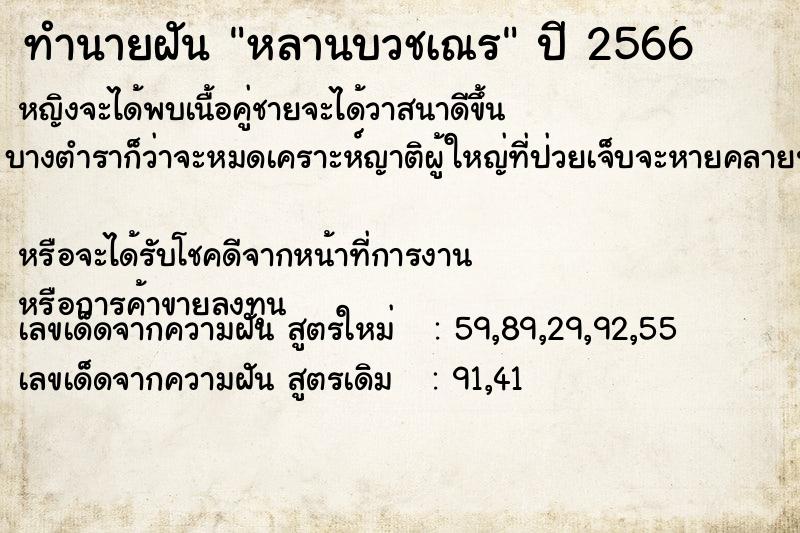 ทำนายฝัน หลานบวชเณร  เลขนำโชค 