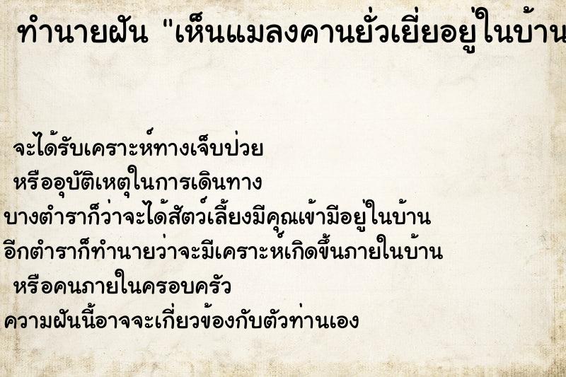 ทำนายฝัน เห็นแมลงคานยั่วเยี่ยอยู่ในบ้าน