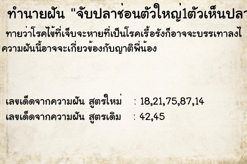 ทำนายฝัน จับปลาช่อนตัวใหญ่1ตัวเห็นปลาช่อนตัวเล็กหลายตัว