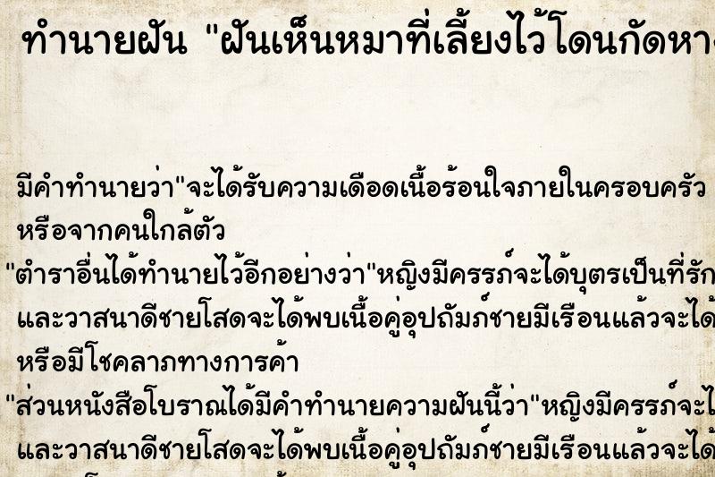 ทำนายฝัน ฝันเห็นหมาที่เลี้ยงไว้โดนกัดหางขาด