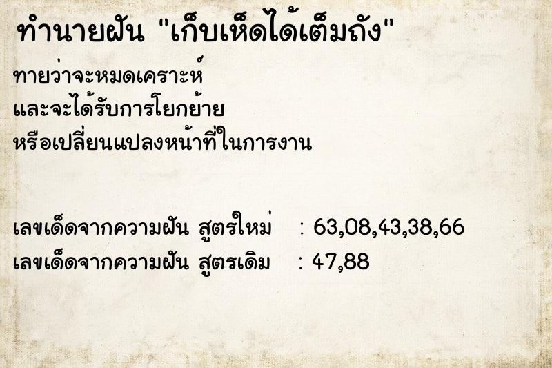 ทำนายฝัน เก็บเห็ดได้เต็มถัง