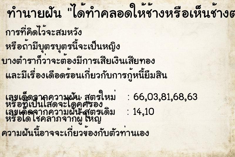 ทำนายฝัน ได้ทำคลอดให้ช้างหรือเห็นช้างตกลูก